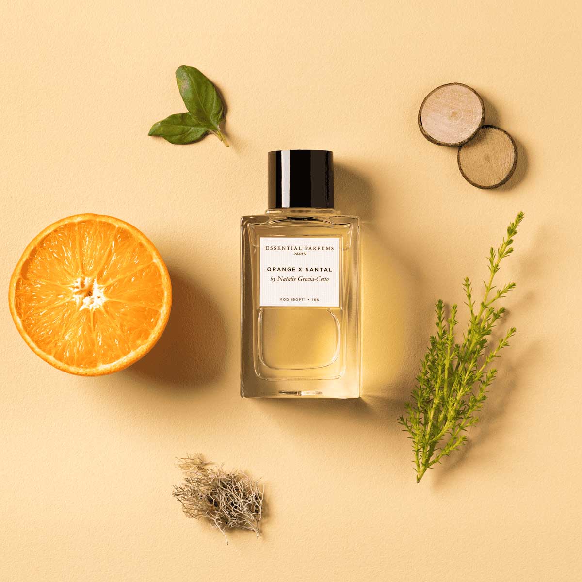 Flacon de parfum Orange X Santal au centre entouré des arômes qui le composent : orange, santal, basilic et cyprès.