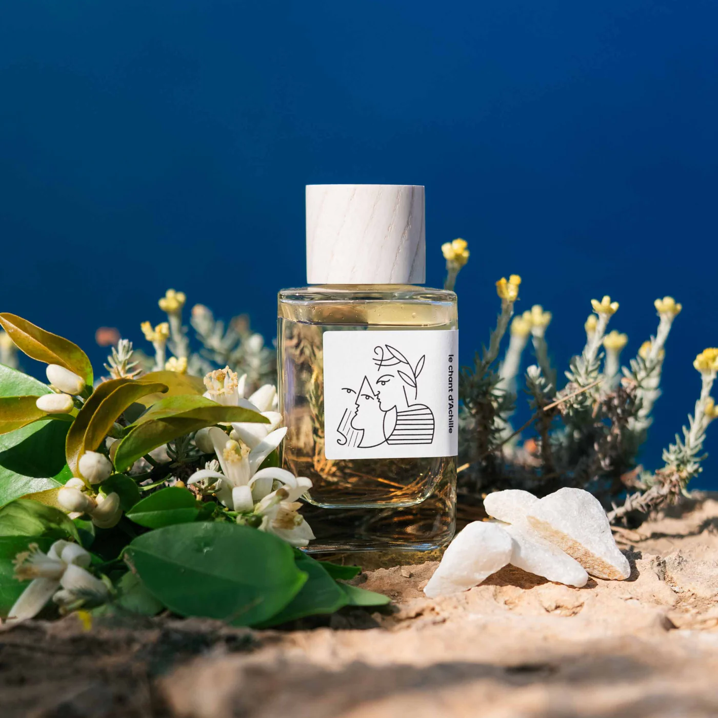 Au centre le flacon d'eau de parfum Le Chant d'Achille de la marque Hellenist entouré des éléments qui le composent : fleur d'oranger, musc, immortelle