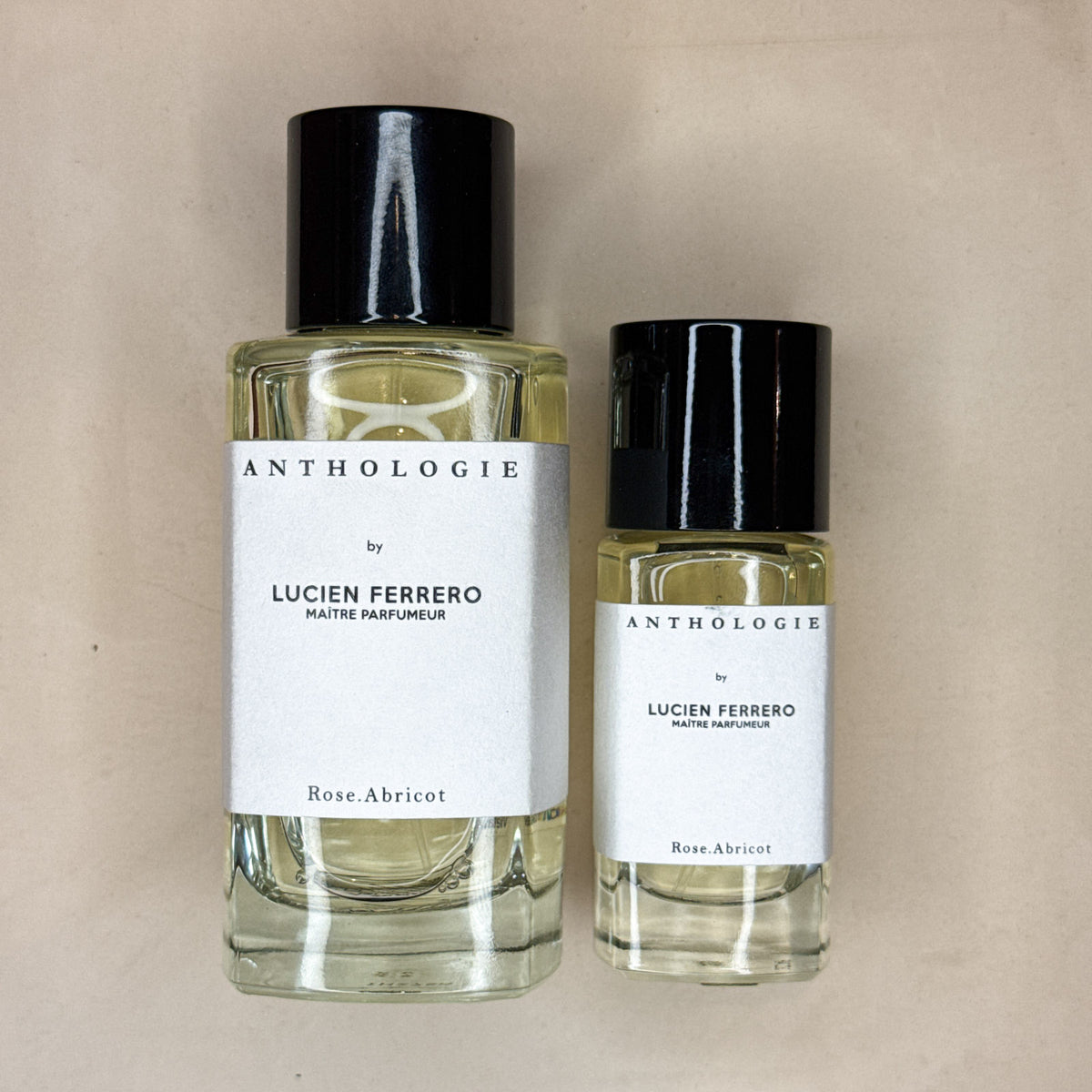 Rose Abricot – Anthologie