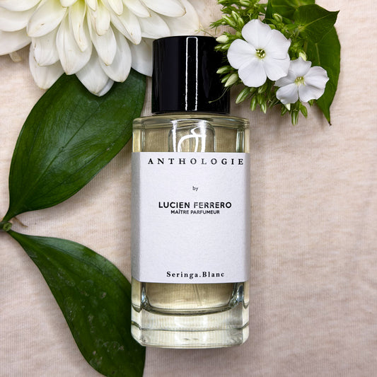 Seringa Blanc - Anthologie
