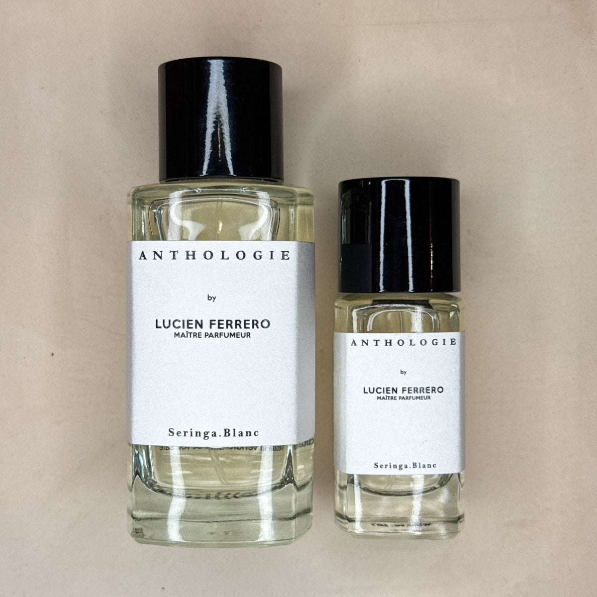 Seringa Blanc - Anthologie
