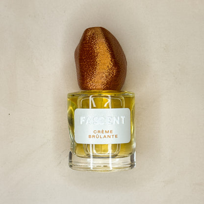 Crème Brûlante - Fascent